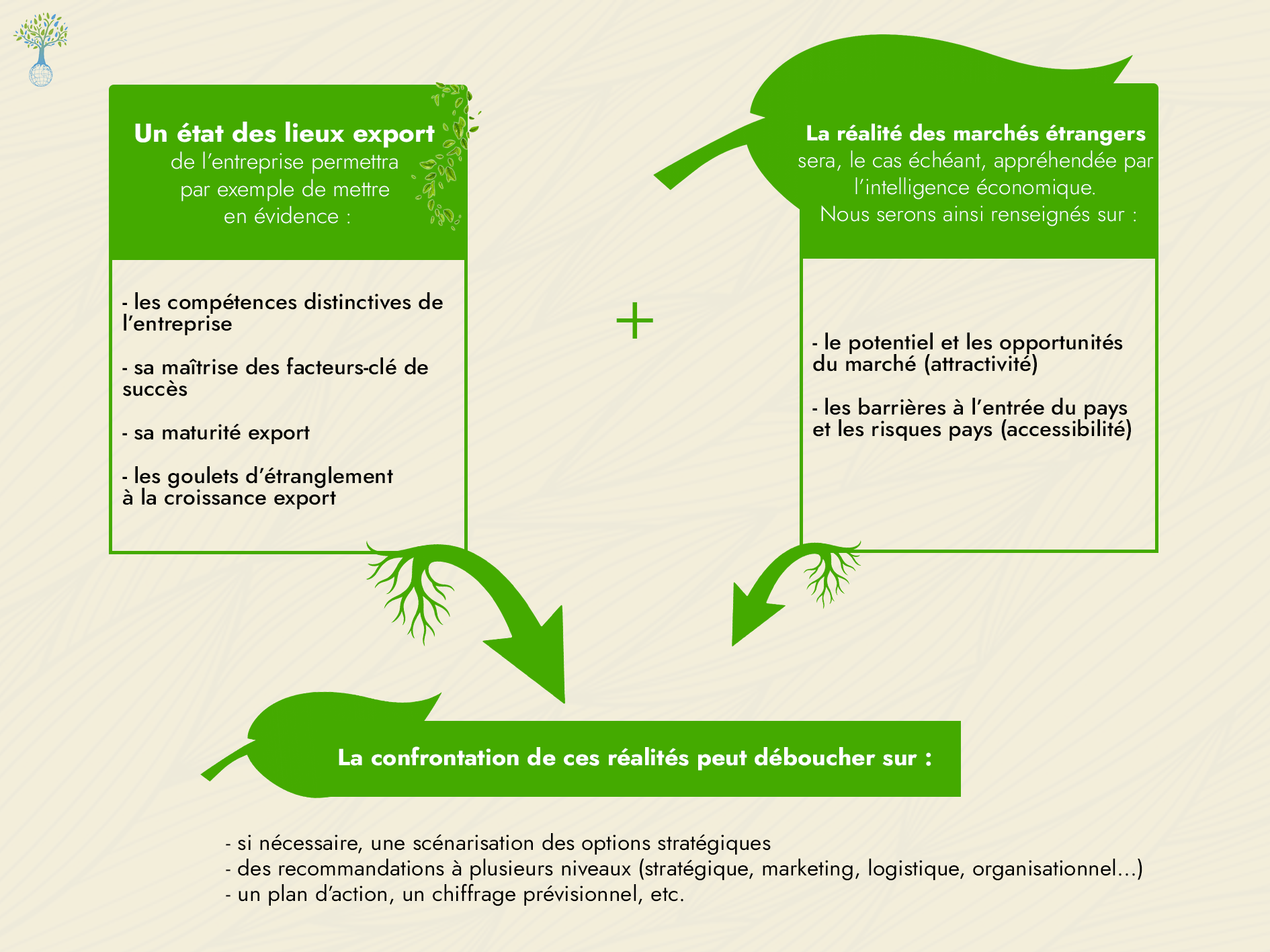 Conseil  & Due diligence